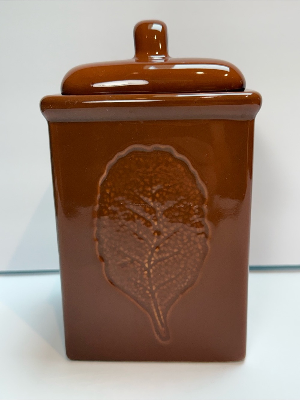 Vintage Lillian Vernon Canister in Brown Raised Botanical Leaf Design
